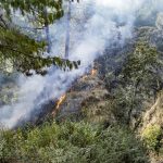 Wildfire Prevention Tips in Portland, OR